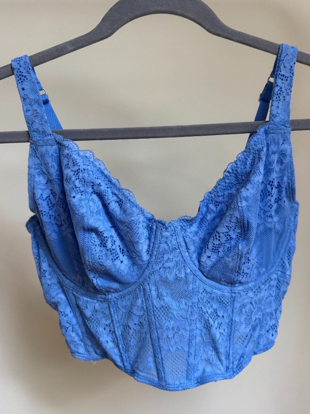 Aerie Blue Lace Corset Top